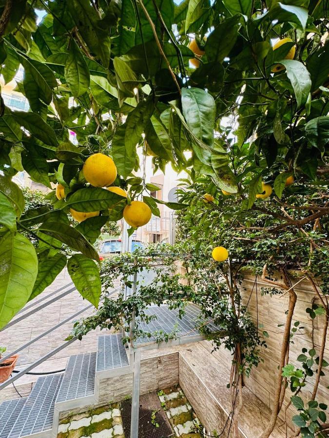 Ferdirisa Vesuvio Home&Garden San Giorgio a Cremano Εξωτερικό φωτογραφία
